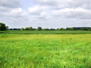 Property photo 1 - EXCELLENT CROPLAND AUCTION - 186.5+/- ACRES OFFERED IN 4 TRACTS IN RUSH AND SHELBY COUNTIES, INDIANA